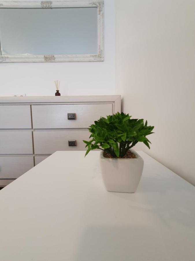 Talsa 1-Bedroom Apartment In City Center Siauliai Exterior photo